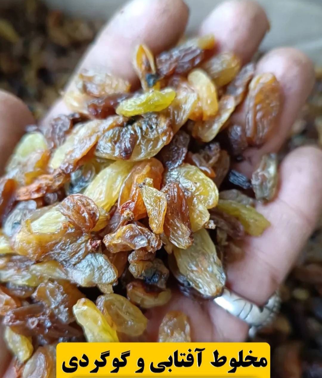 کشمش مخلوط_آفتابی و گوگردی