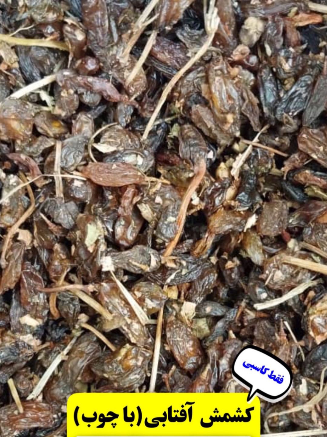 کشمش افتابی (با چوب)